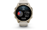 Spordikell fenix 8 43mm AMOLED Sapphire Soft Gold with Fog Gray Band